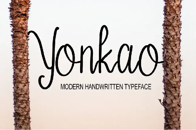 Yonkao font