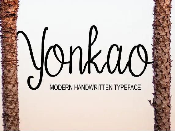 Yonkao font