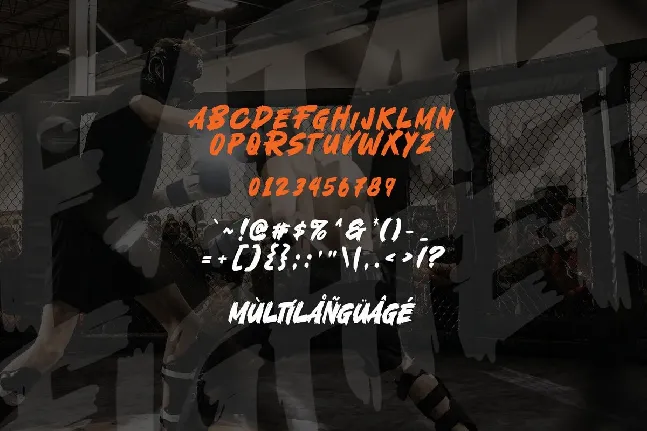 Fatal Fighter font