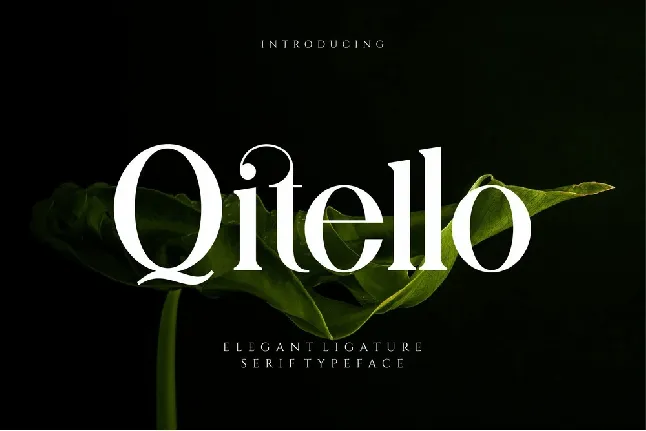 Qitello font