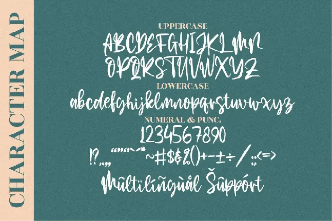 The Limited font