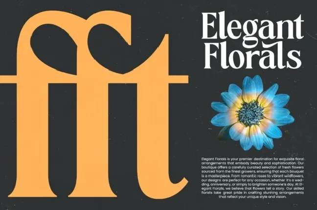 Vitoria Serif font