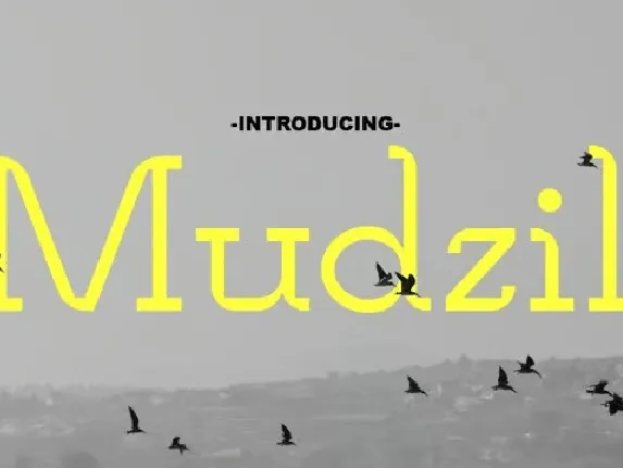 Mudzil Family font