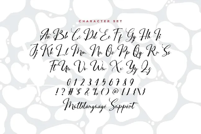 City Halle font