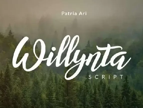 Willynta Script font