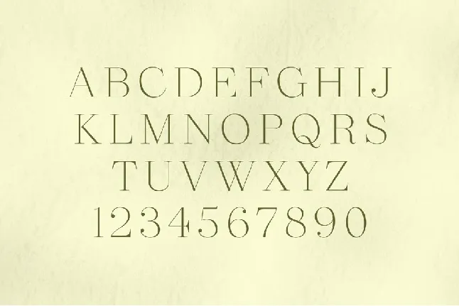 Revaux font