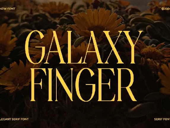 Galaxy Finger font