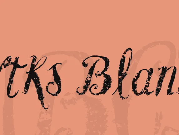 Vtks Blank font