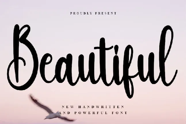 Beautiful Script Typeface font