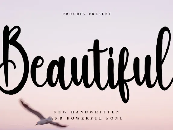 Beautiful Script Typeface font