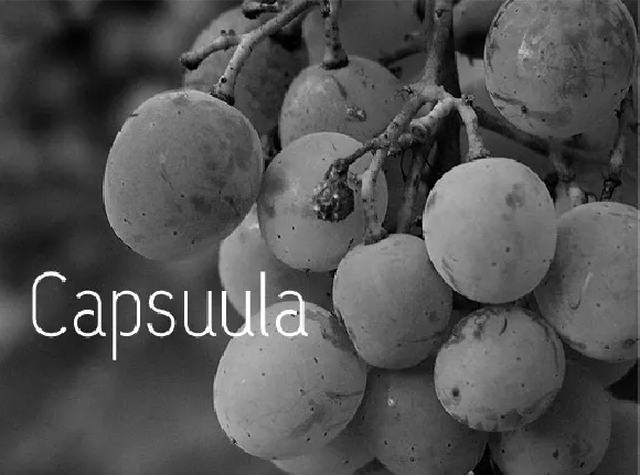 Capsuula font