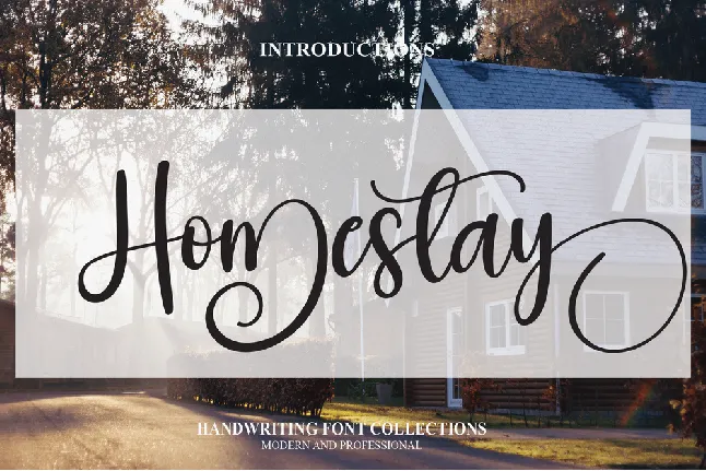 Homestay font