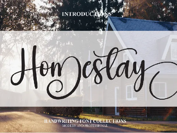 Homestay font