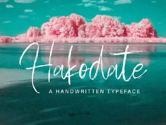 Hakodate font