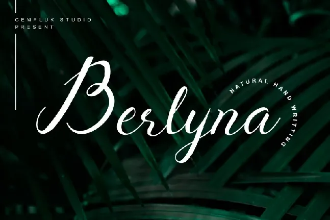 Berlyna – Modern Script font