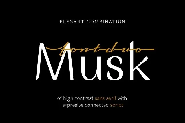 Musk Sans Serif Typeface font