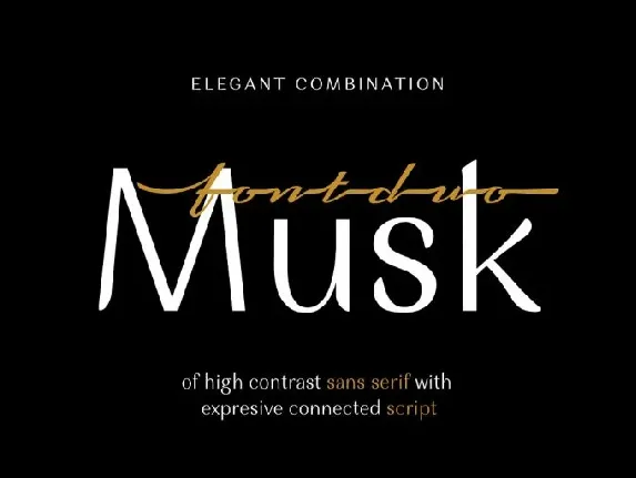 Musk Sans Serif Typeface font