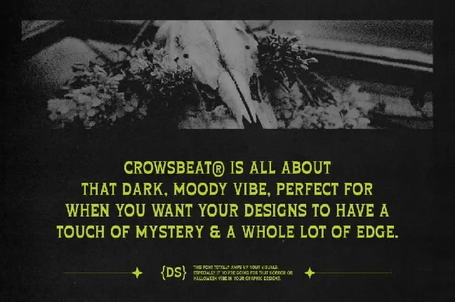 Crowsbeat Demo font