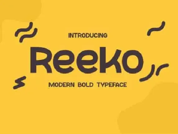 Reeko Sans Serif font