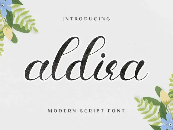 Aldira Demo font