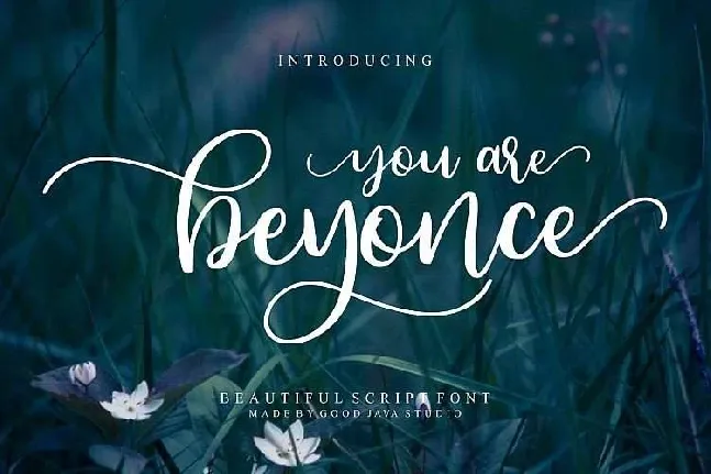 Beyonce Free font