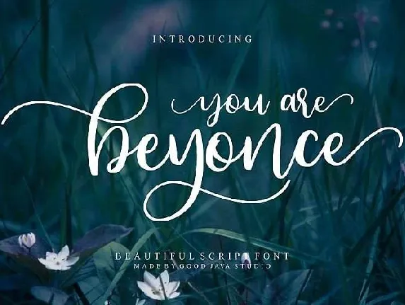 Beyonce Free font