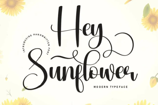 Hey Sunflower Script font