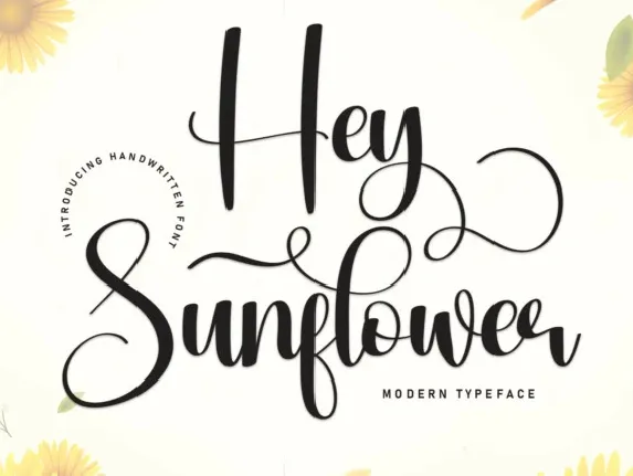 Hey Sunflower Script font