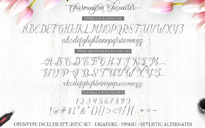 Charmington Script font