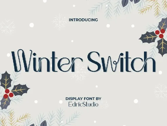 Winter Switch Demo font