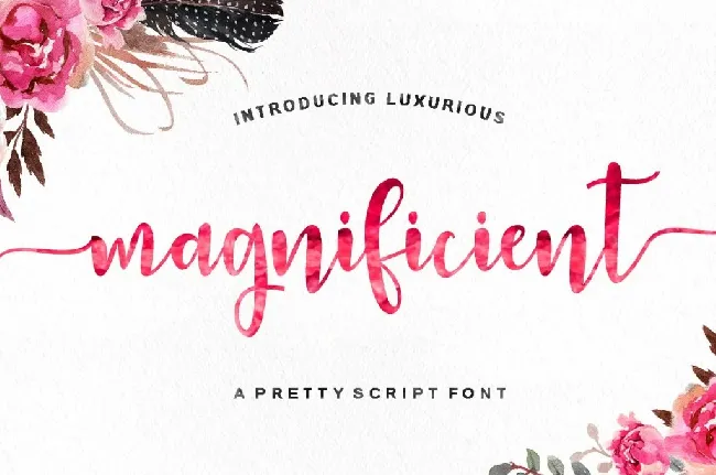 Magnificient Script font