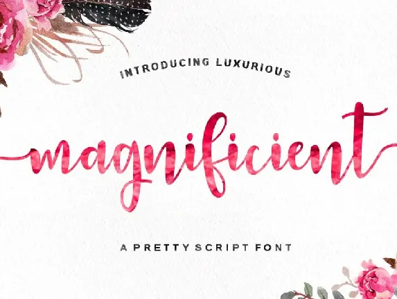 Magnificient Script font