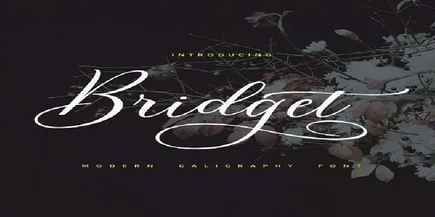 Bridget Script font