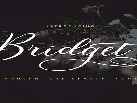 Bridget Script font