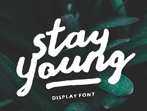 Stay Young Script font