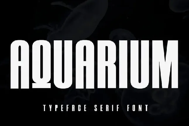 Aquarium Sans Serif font