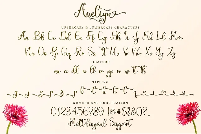 Aneliya - Personal Use font