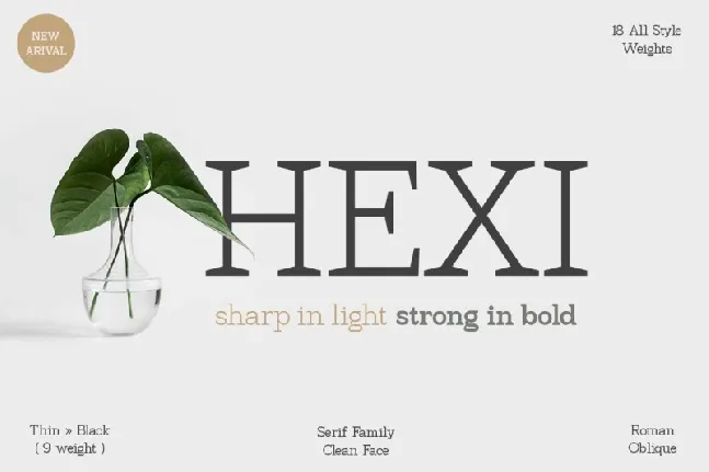 Hexi font