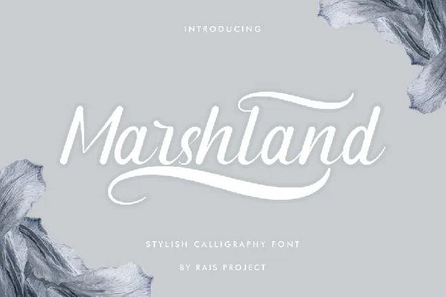 Marshland Demo font