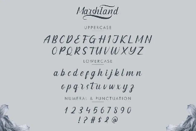 Marshland Demo font