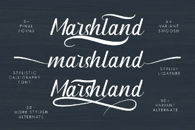 Marshland Demo font