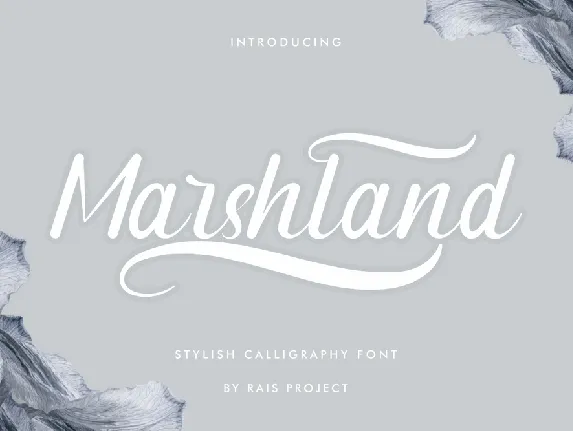 Marshland Demo font