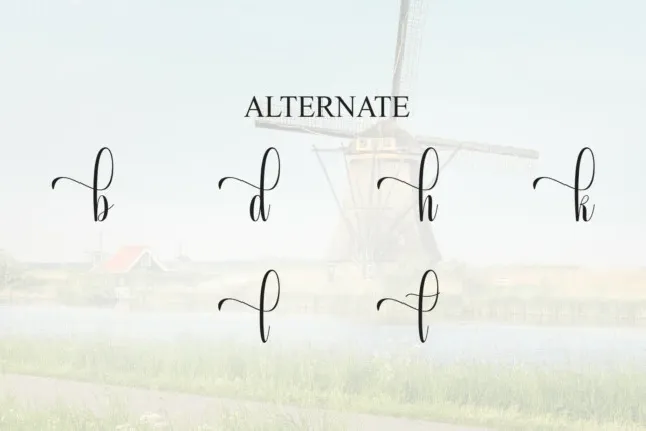 Holland Script font