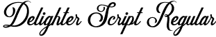 Delighter Script Regular font - Uncurve - Delighter Script Regular.otf