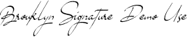 Brouklyn Signature Demo Use font - BrouklynSignature-DemoUse.otf