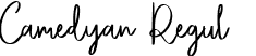 Camedyan Regular font - Camedyan.ttf