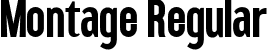 Montage Regular font - Montage-Demo.ttf