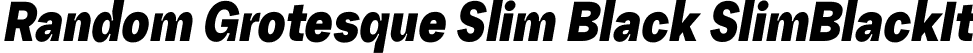 Random Grotesque Slim Black SlimBlackIt font - RG-SlimBlackIt.ttf