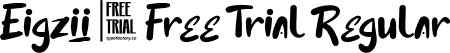 Eigzii - Free Trial Regular font - Eigzii - Free Trial.ttf