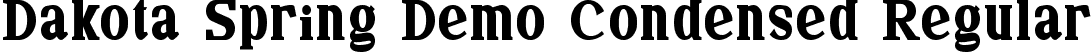 Dakota Spring Demo Condensed Regular font - DakotaSpringDemoCondensed.ttf